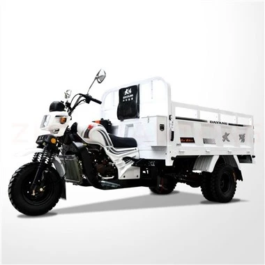 200cc 3 riteņu Moto pašizgāzējs
