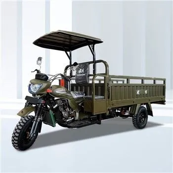 Carguero Motocarro Tricar
