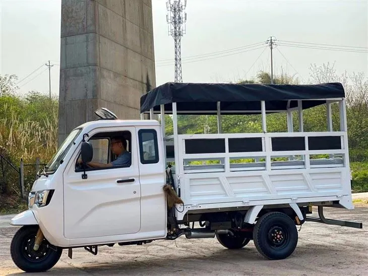 DY-P2 Enclosed Cabin And Heavy Loading Cargo Tricycle With Plastic Cargo Cover