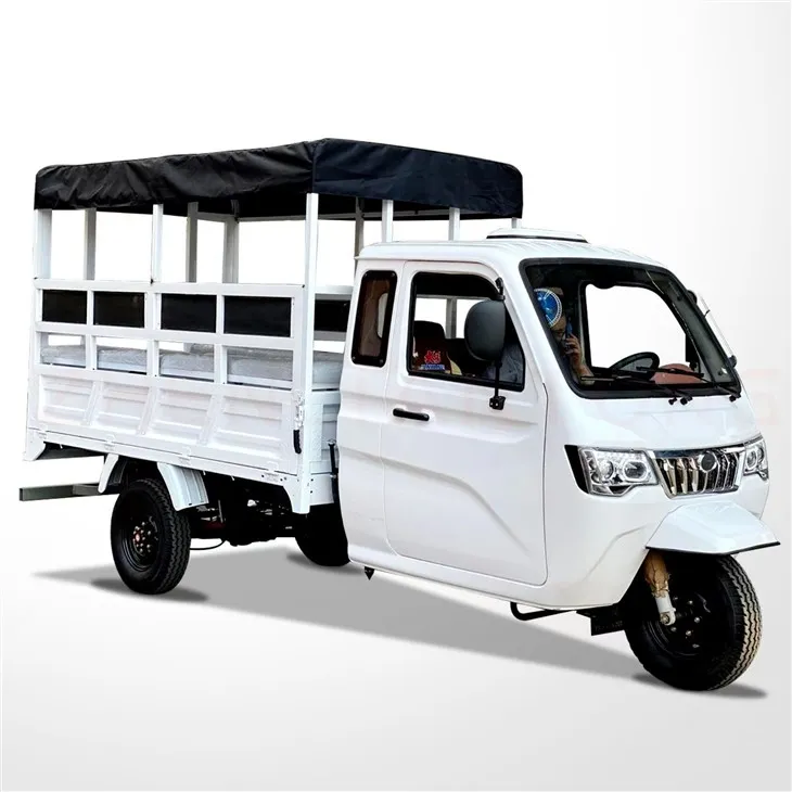 DY-P2 Enclosed Cabin And Heavy Loading Cargo Tricycle With Plastic Cargo Cover