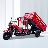 150cc 175cc 200cc augstas klases kravas trīsritenis