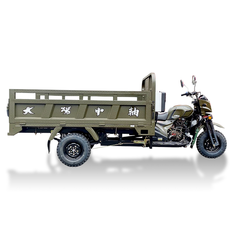 Threewheel Cargo Motorcycle Cargo Loader Passenger Tricycle